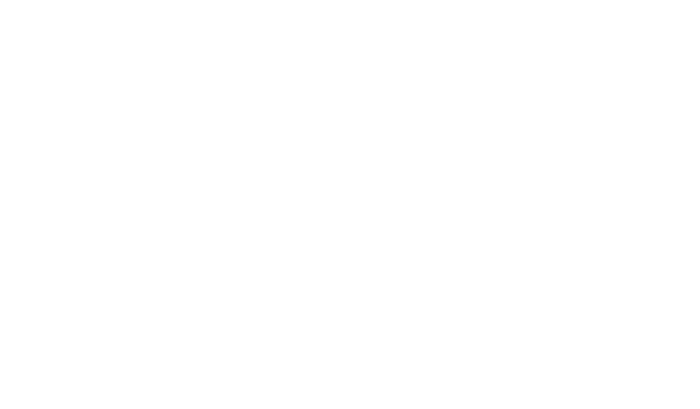 Digi Skale Academy